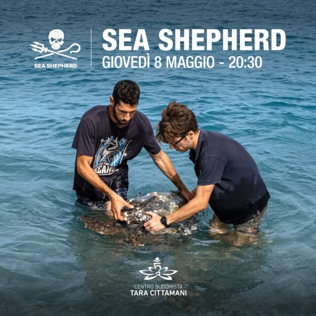 Un Mare di Gentilezza: ospiti Sea Shepherd